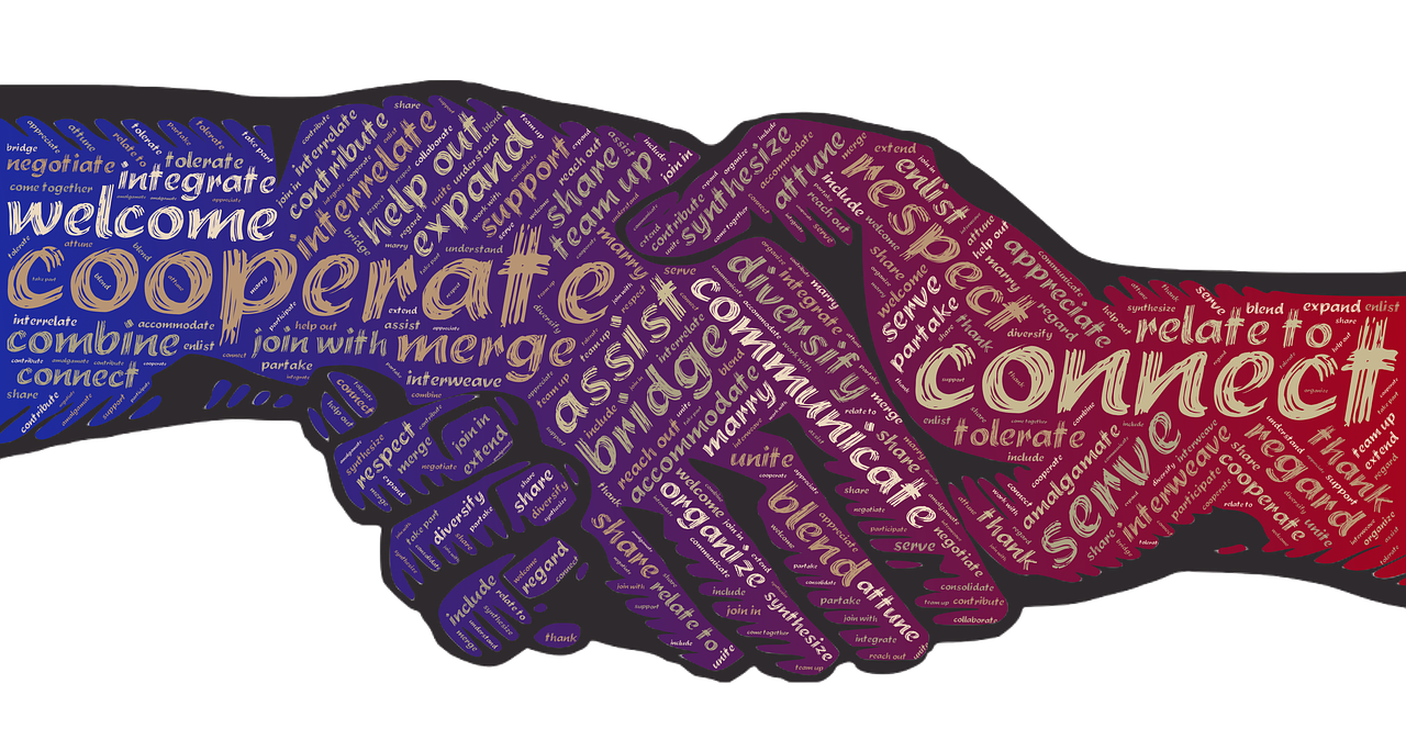 Wat doet een Brugfunctionaris?